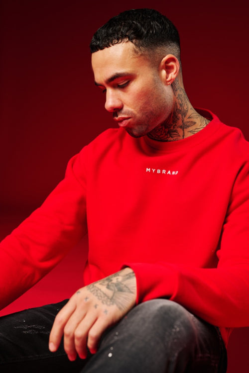 MY BRAND BACK SWEATER RED | RED